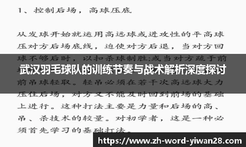 武汉羽毛球队的训练节奏与战术解析深度探讨